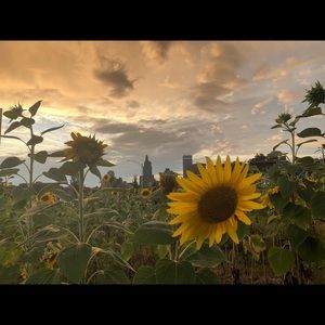 Meet your Posher, Andy